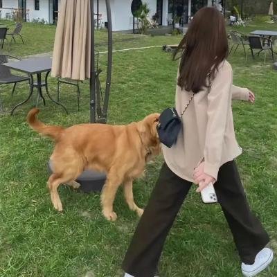 长发妹